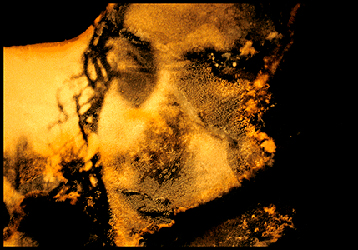 moira antonello