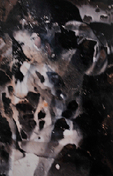 moira antonello